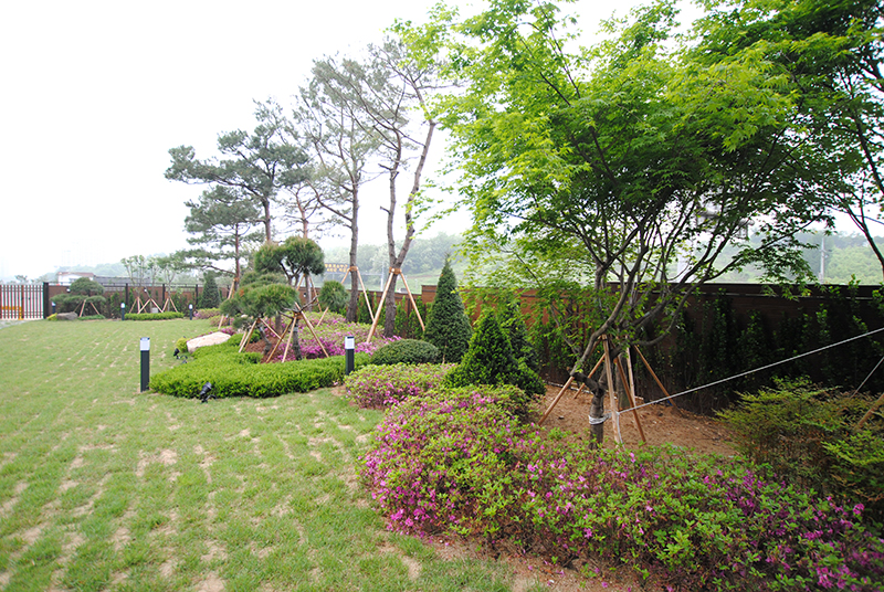 outgarden-ykbnc7.JPG